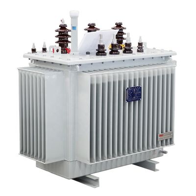Özel Hizmet 10kv Üç Fazlı Düşük Kayıplı Yağ Daldırılmış Dağıtım Transformörü