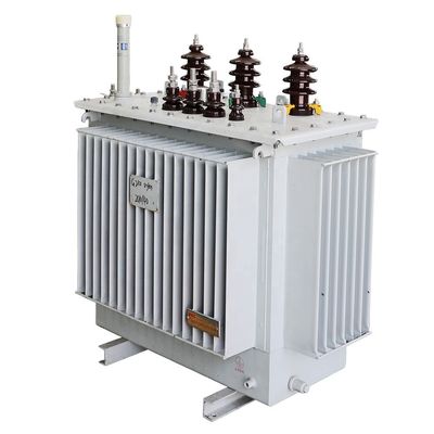 10kV 100kVA 500 1000 1500 1600kVA 2000 2500kVA Pad Montajlı Elektrik Gücü Transformörü