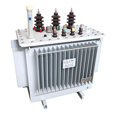 Güç 10kv 11kv 400kva 500kva Kapsüle Üç Fazlı Yağla Dolu Transformör