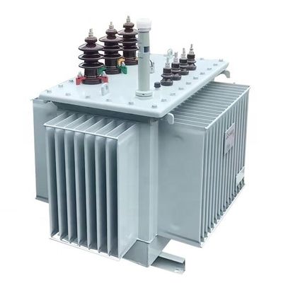 100kVA 10kV Tek Fazlı Güç Montajlı Transformatör 11kV 800kVA Yağa Batırılmış Transformatör
